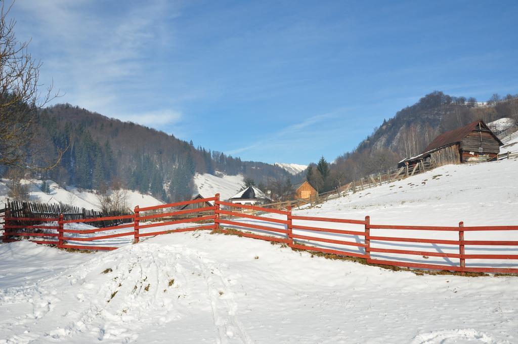 Pensiunea La Ionica Dîmbovicioara Exteriör bild